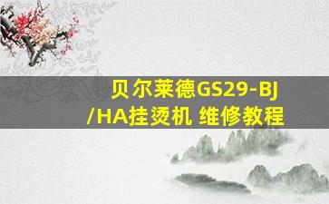 贝尔莱德GS29-BJ/HA挂烫机 维修教程